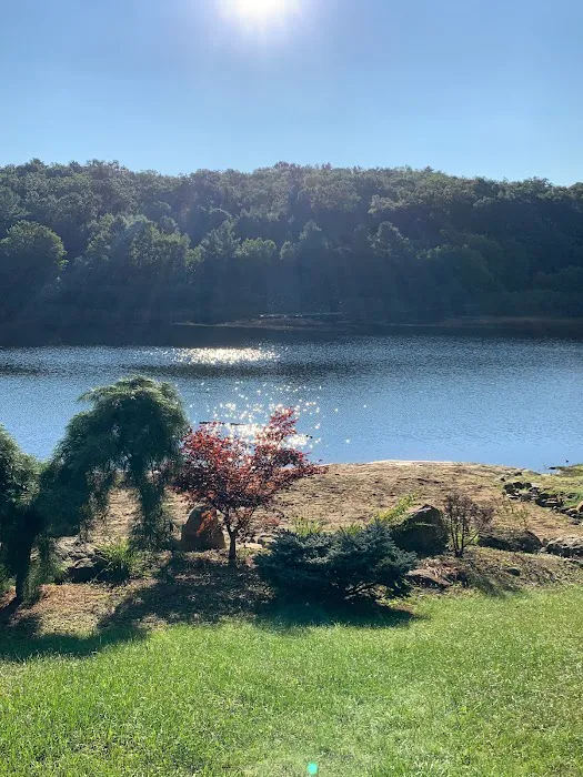 Wilderness Lake Campground & Resort 3