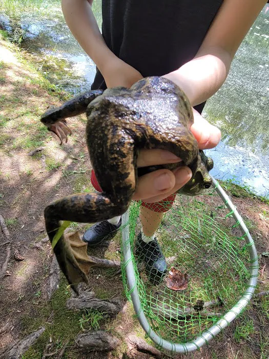 Mineral Springs Family Campground 9