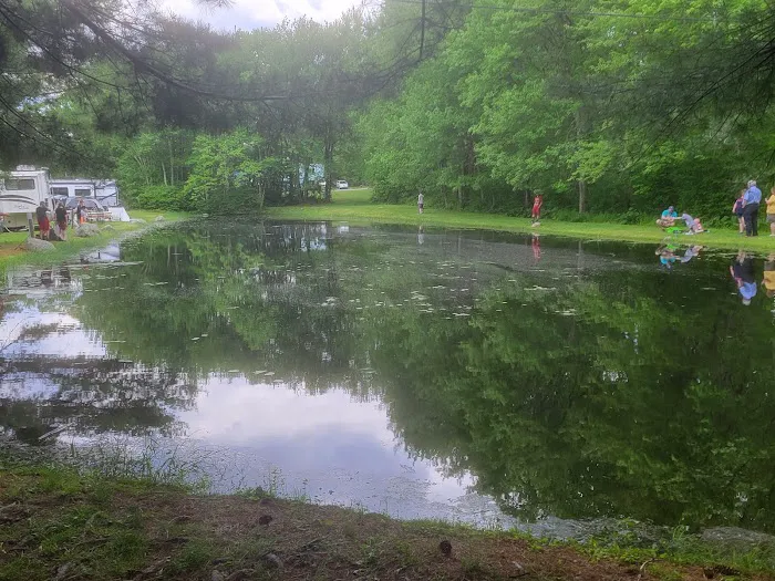 Mineral Springs Family Campground 6