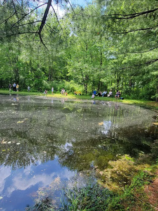 Mineral Springs Family Campground 3