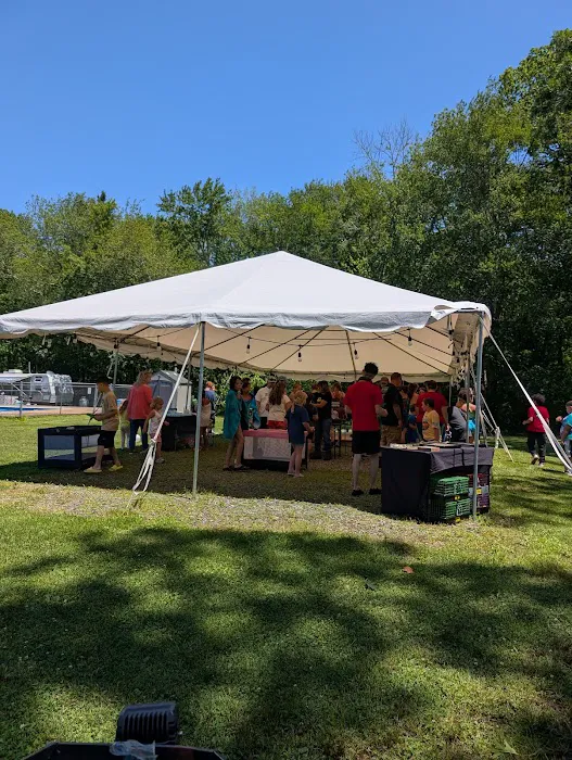 Mineral Springs Family Campground 1