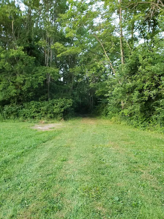 Sunsetview Farm Camping Area 9