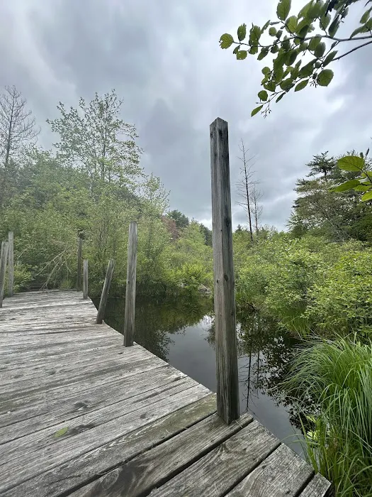 Partridge Hollow Campground 7