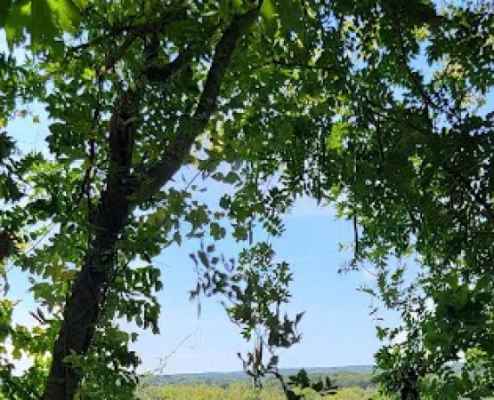 Gillette Castle State Park River Campground