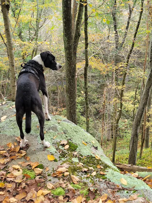 Devil’s Hopyard State Park Campground 4