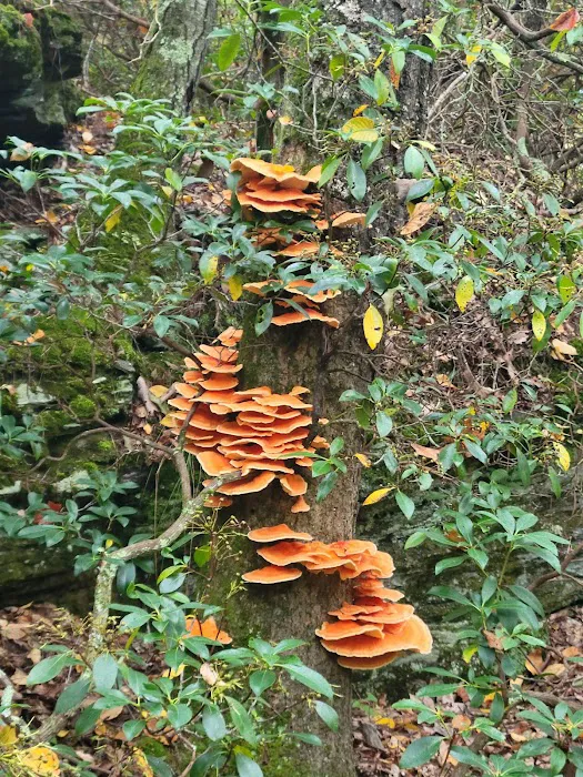 Devil’s Hopyard State Park Campground 2