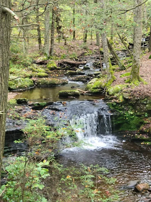 Devil’s Hopyard State Park Campground 5