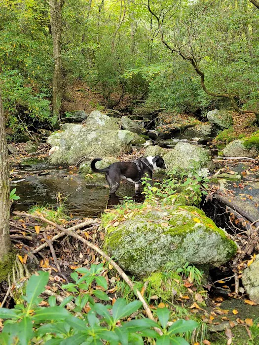 Devil’s Hopyard State Park Campground 6