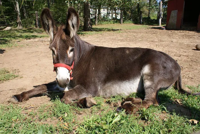 Salem Farms Campground LLC 3