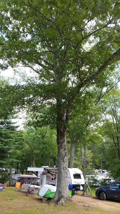 Witch Meadow Lake Campground 3