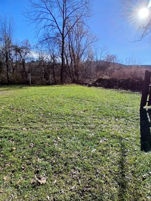 Father Tom Campsite 4