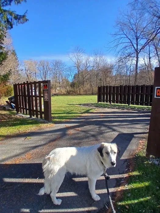 Father Tom Campsite 1