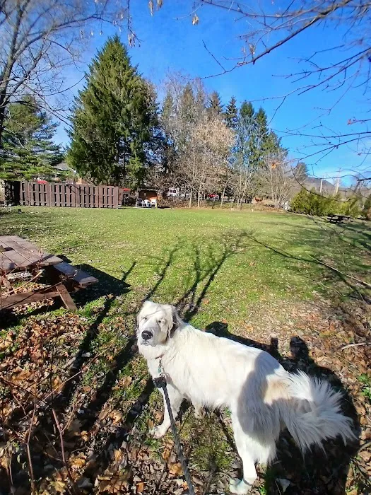Father Tom Campsite 7
