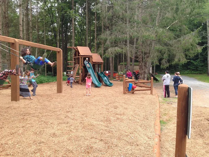 Mt. Greylock Campsite Park 8