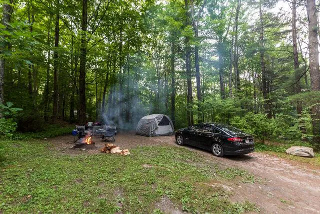 Mt. Greylock Campsite Park 0