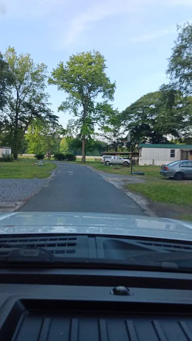 Pine Ridge Park MHP 1