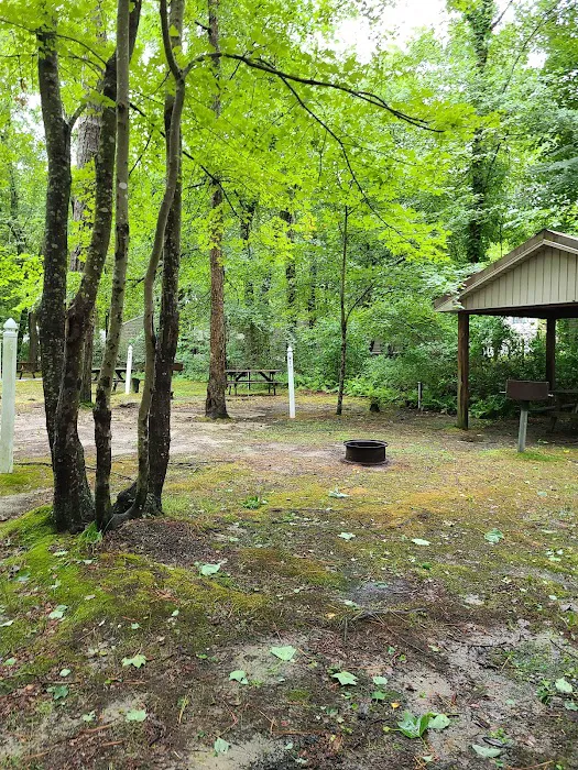 Big Oaks Campground 8