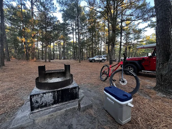 Cape Henlopen State Park Campground 0