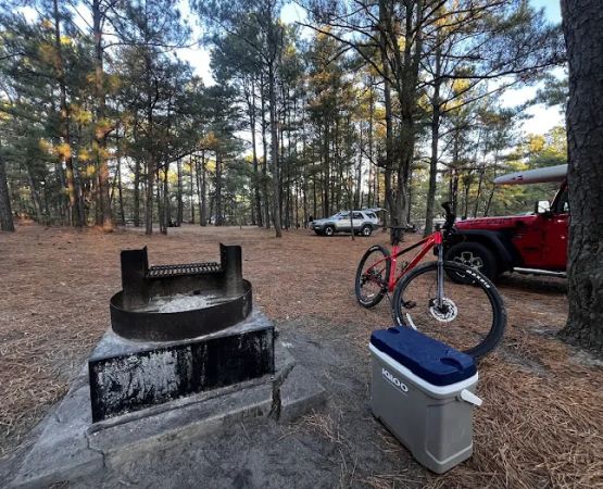 Cape Henlopen State Park Campground