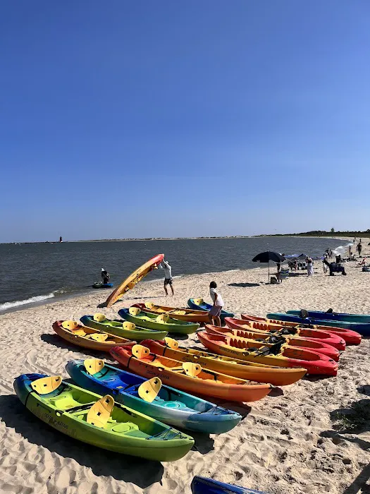 Cape Henlopen State Park Campground 2