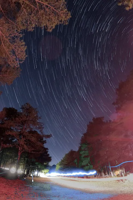 Cape Henlopen State Park Campground 9