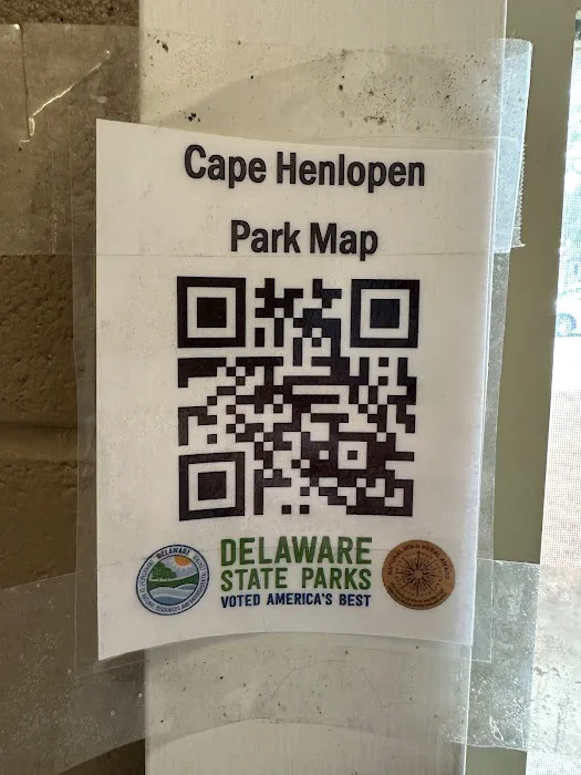 Cape Henlopen State Park Campground 3