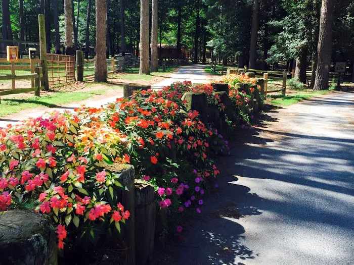 Holly Lake Campsites - Holly Lake Camp Store & Grill 9