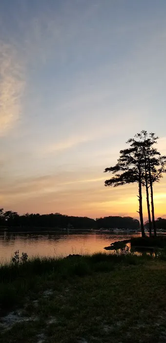 Angola By the Bay Association 5