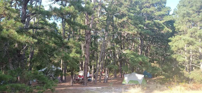 CHSP Group Camp sites 2