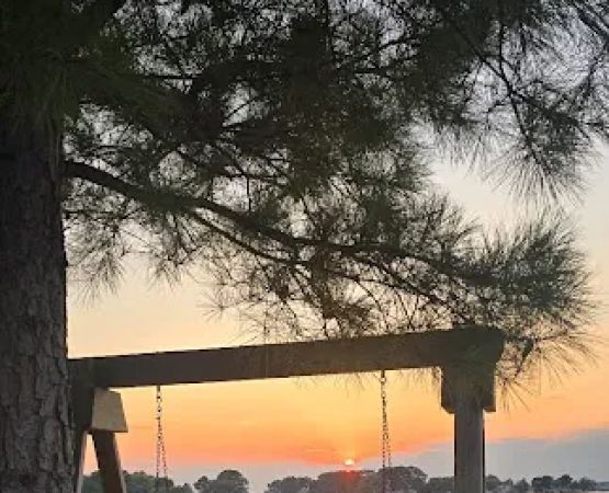 Beach Harbor Camper's Co-Op