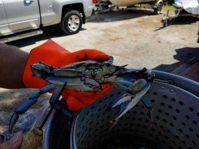 Beach Harbor Camper's Co-Op 9