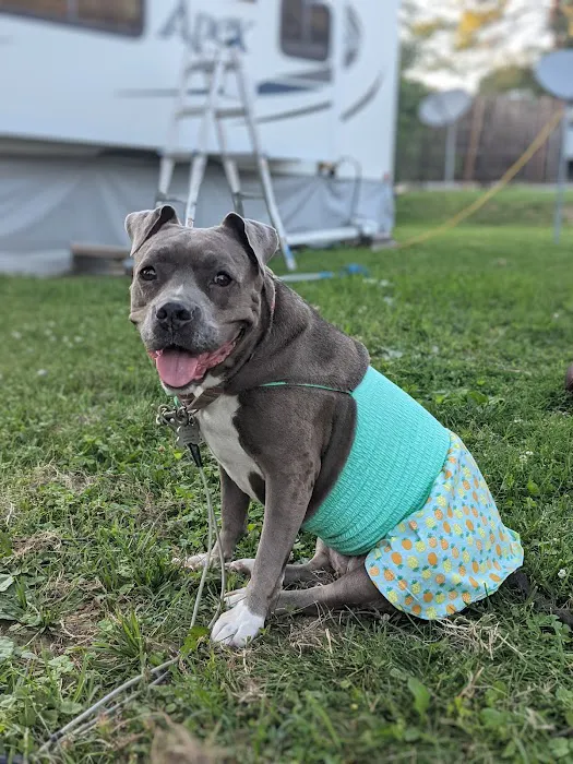 Orems Trailer Park 6