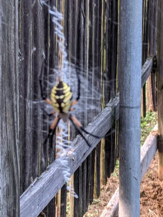 Orems Trailer Park 2