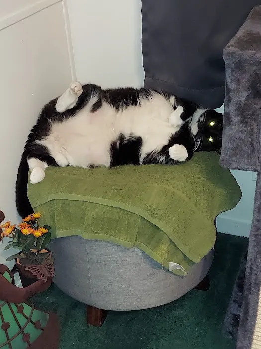 Briarwood Mobile Home Estates 1