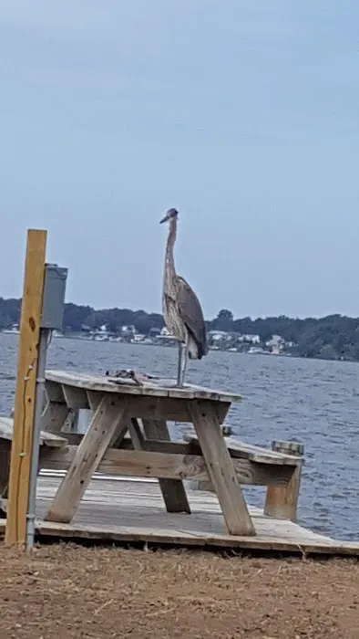 Briarwood Mobile Home Estates 0