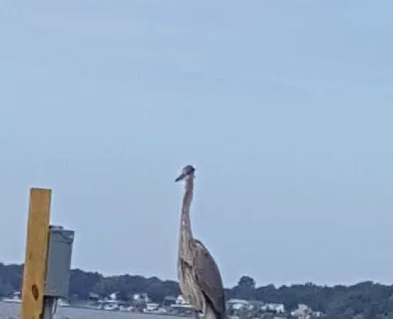 Briarwood Mobile Home Estates