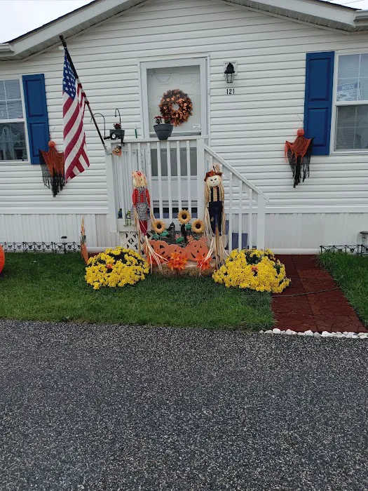 Briarwood Mobile Home Estates 4