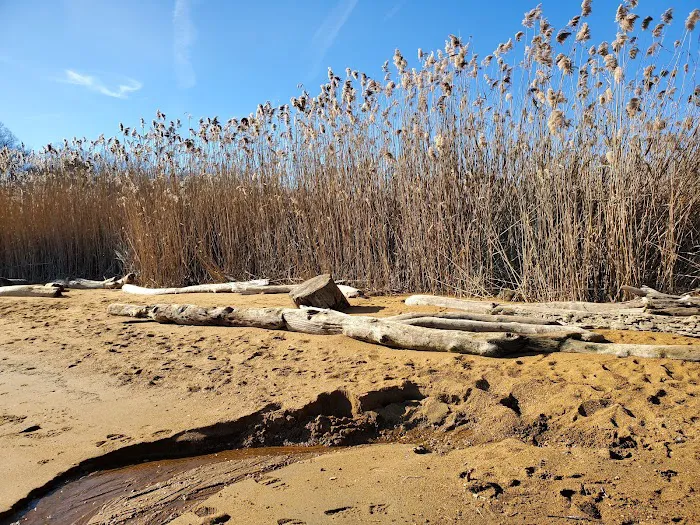 Sandy Point State Park Youth Group Camp Ground 3