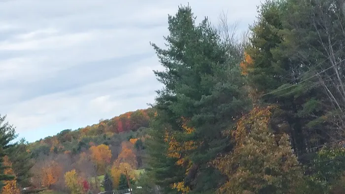 Oakwoods Manufactured Housing Community 4