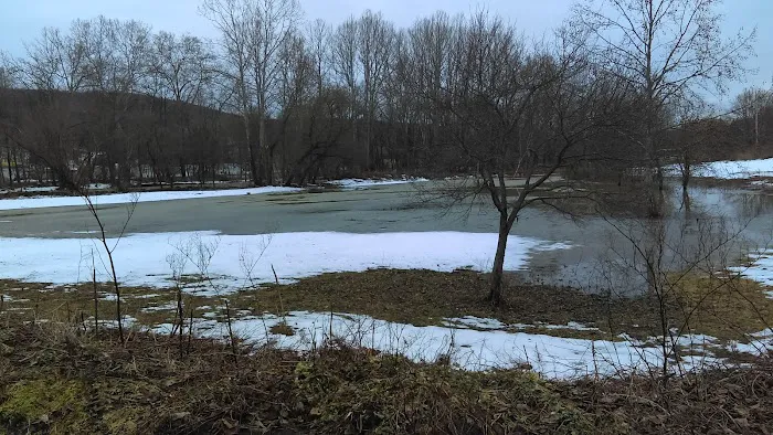 Oakwoods Manufactured Housing Community 8