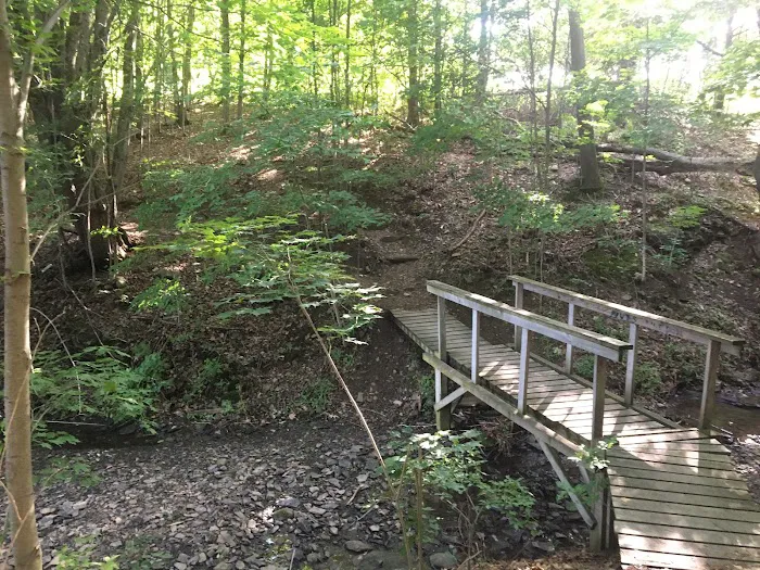 Millbrook Reservoir 7