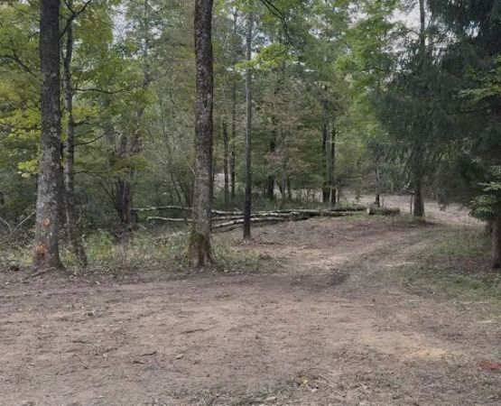 Live The Outdoors LLC