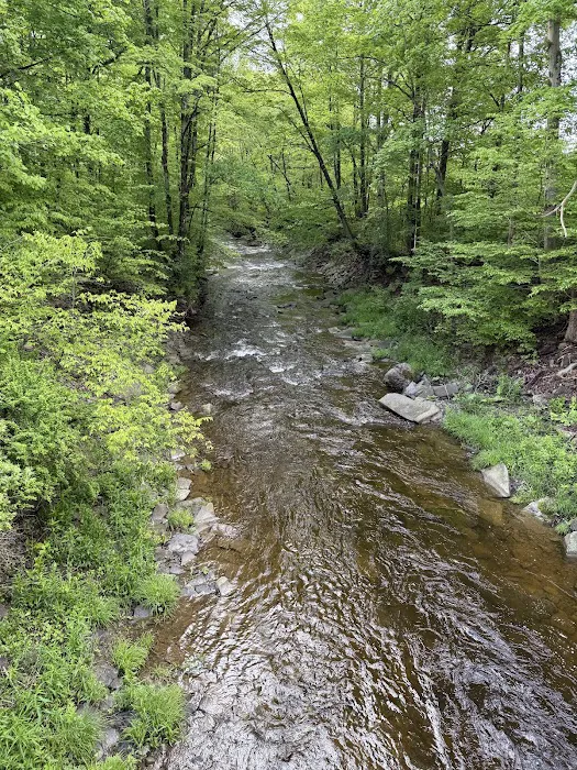 Live The Outdoors LLC 1