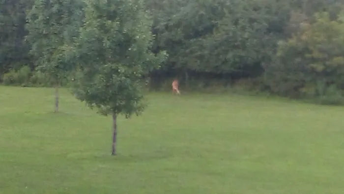 Sherburne Mobile Park 0