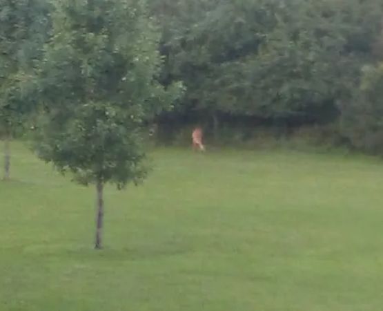 Sherburne Mobile Park