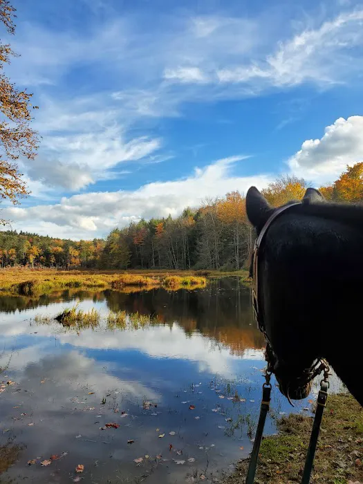 Pure Country Campground 0