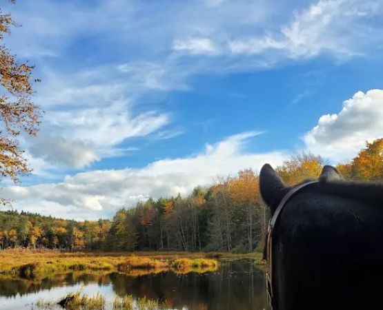 Pure Country Campground