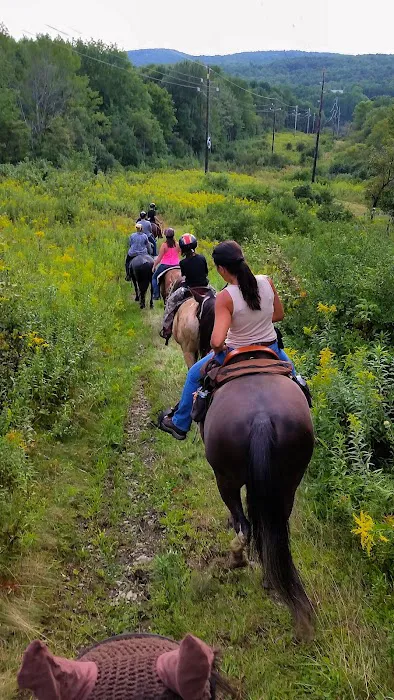 Pure Country Campground 2