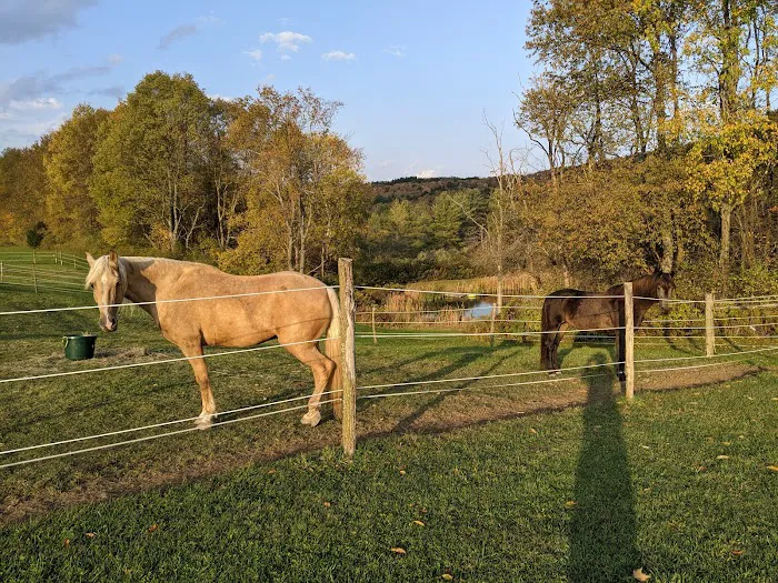 Pure Country Campground 6