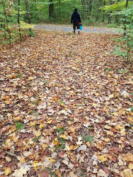 Cherry Ridge Campground 8